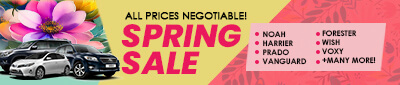 Early Spring Sale